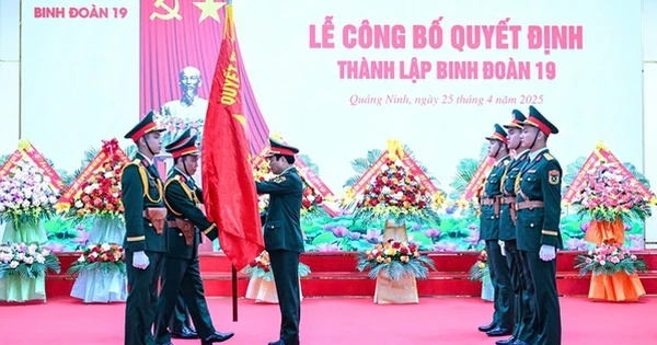 Thành lập Binh đoàn 19