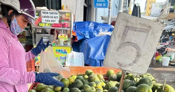 Trái cây 'đại hạ giá', có loại chỉ 5.000 đồng/kg ở TPHCM