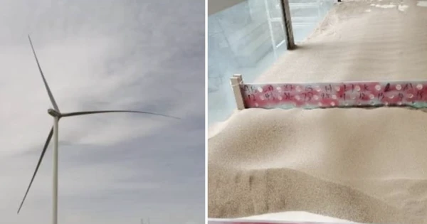 Công nghệ Trung Quốc khiến thế giới sửng sốt: Hàng trăm nghìn tuabin gió bị bỏ đi nhưng giữ lại, biến 'rác' thành cột chống cát cao 60 mét