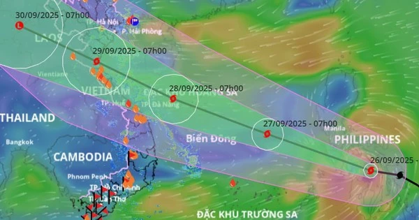 Tin mới nhất về bão Bualoi: Đi nhanh gấp đôi bình thường, sẽ đổ bộ vào nước ta gây mưa rất to