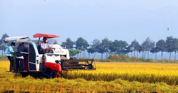 Tin vui cho người nông dân: Tăng mức hỗ trợ lên 1,5 triệu đồng/ha/năm đối với đất chuyên trồng lúa