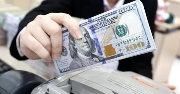 Lưu ý: Những điều cần biết về giao dịch USD tại Việt Nam để vừa có lợi lại không bị phạt nặng
