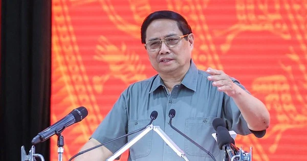 Việt Nam làm thành công dự án trong lĩnh vực nuôi sống một nửa nhân loại: Đây là dự án đầu tiên trên TG
