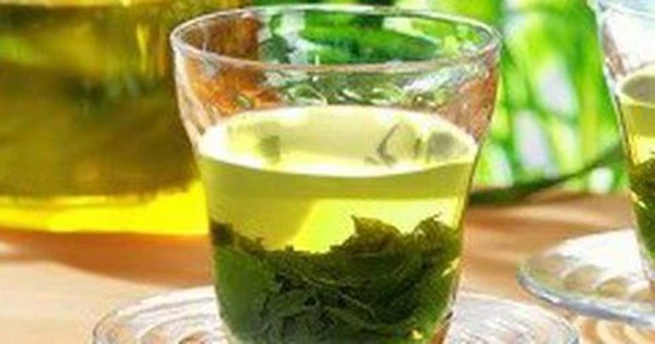Loại lá bán đầy chợ Việt, vốn là 
