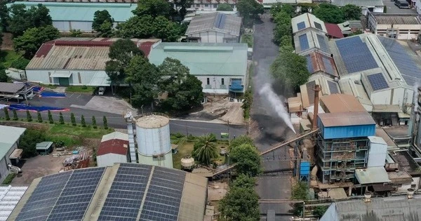 Một khu công nghiệp chấm dứt hợp đồng với toàn bộ các doanh nghiệp đang thuê kể từ ngày 1/8