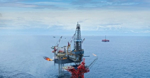 Một doanh nghiệp Việt vươn mình, lập cột mốc vượt kỳ vọng, mọi chỉ tiêu đều 