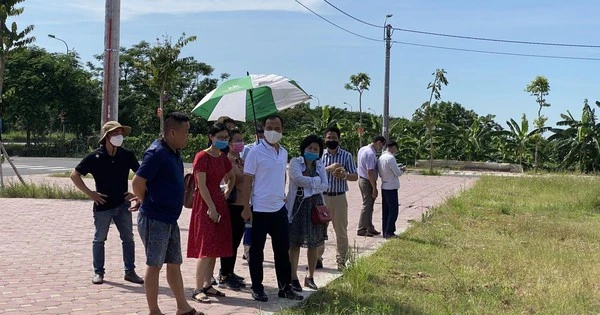 Cá nhân kinh doanh bất động sản không được mua bán quá 10 lần một năm