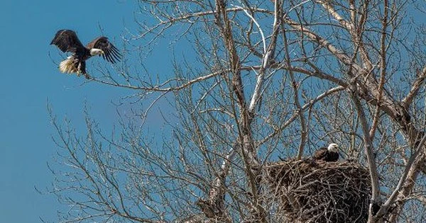Thêm nhiều “đại bàng” chọn Việt Nam là thị trường trọng điểm để “đổ bộ”