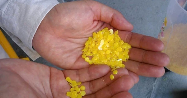 Công ty Việt vừa sản xuất được một 