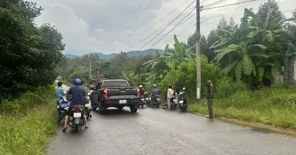 Phát hiện thi thể người đàn ông trong vườn sầu riêng