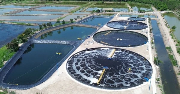 Việt Nam dẫn đầu toàn cầu về một chỉ tiêu quan trọng, là gì vậy?