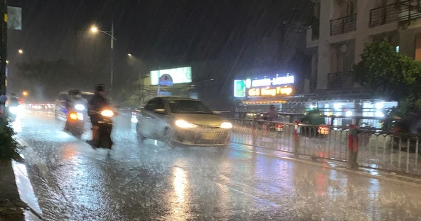 TP HCM mưa lớn kèm gió giật rất mạnh, có nơi cúp điện