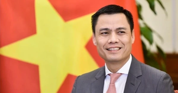 Điều động ông Đặng Hoàng Giang tiếp tục giữ chức Thứ trưởng Bộ Ngoại giao