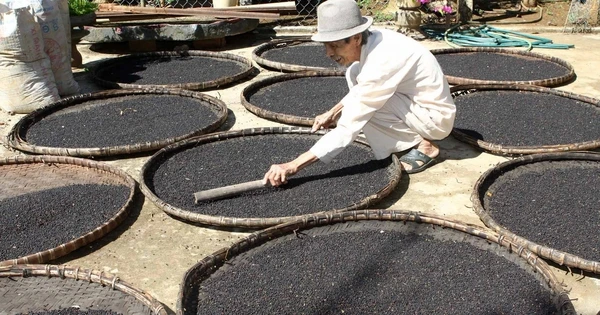Hàng chục nghìn tấn 
