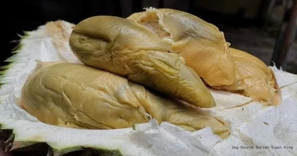 Giới 