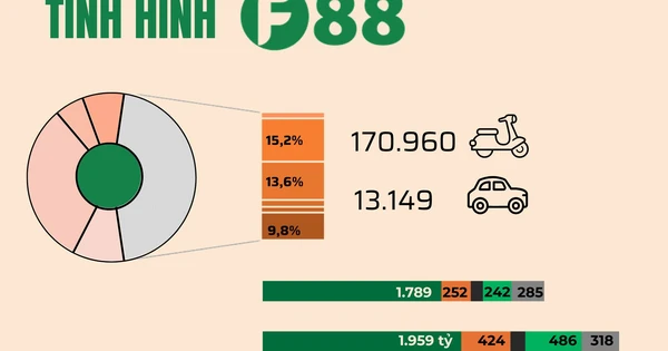 Hệ thống cầm đồ lớn nhất Việt Nam lần đầu công bố BCTC chi tiết: Gần 3.700 tỷ cho vay, lãi và phí tối đa 8,1%/tháng, lợi nhuận chủ yếu đến từ xử lý tài sản
