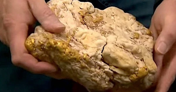 Dùng máy dò kim loại bất ngờ đụng trúng tảng đá chứa 2,6 kg vàng