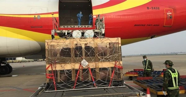 Một ngành kinh doanh tỷ USD của Mỹ nếm ‘trái đắng’ thương chiến: Xuất khẩu sang Trung Quốc ‘đóng băng’, đơn hàng bị hủy hàng loạt, nguy cơ mất thị phần vào tay đối thủ