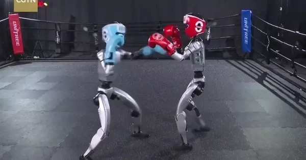Video robot Trung Quốc tung đòn chuẩn bị cho trận boxing chưa từng có