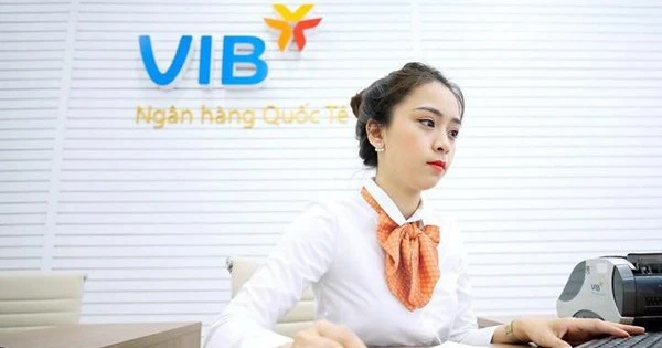 Hơn 11 nghìn nhân viên VIB có thu nhập bình quân gần 95 triệu đồng/người trong quý 1