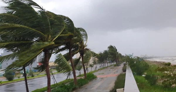Bão số 10 Bualoi sắp đổ bộ: Ít nhất 4 địa phương cho học sinh nghỉ học ngày mai