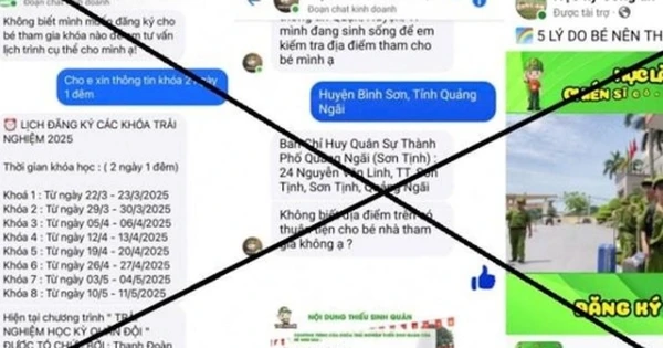 Mất 2,7 tỷ đồng vì đăng ký trại hè cho con qua mạng