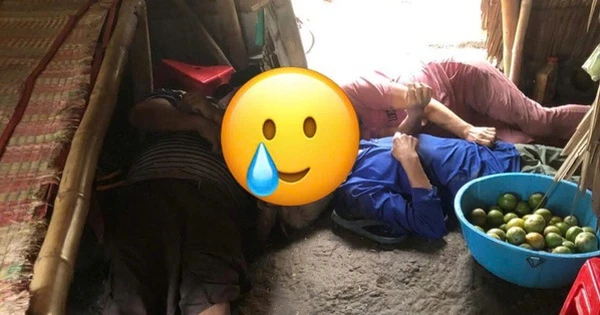 Công an Vĩnh Long thông tin vụ 3 người trong một gia đình tử vong