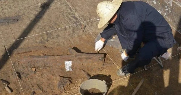 Dụng cụ gỗ 300.000 năm hé lộ bí mật tổ tiên người châu Á