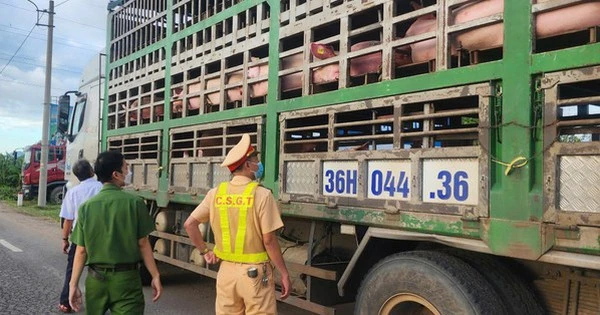 Phát hiện điều bất thường trên chiếc xe tải di chuyển qua xã Tuy Phước lúc rạng sáng