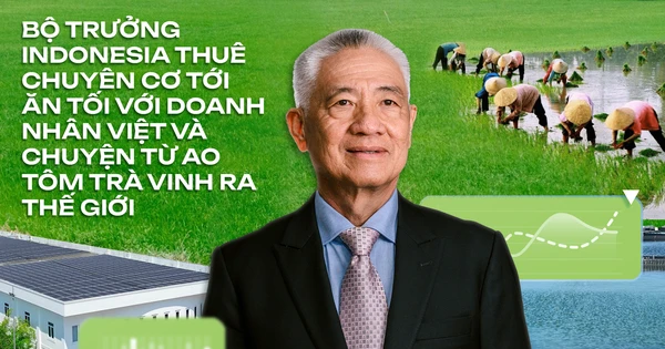 Doanh nhân Việt chọn trở về làm 