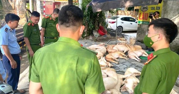 Kinh hãi gần 800 kg thịt lợn bốc mùi suýt bị tuồn ra thị trường