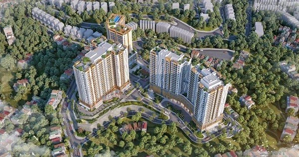 Lần đầu tiên sau hàng thập kỷ: Quảng Ninh sắp diễn ra sự kiện đặc biệt