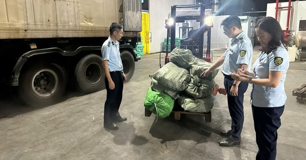 Khám một kho hàng đông lạnh ở Quảng Ninh, phát hiện 