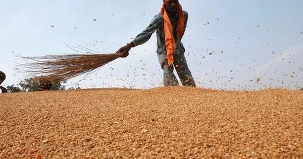 Vừa ngừng nhập khẩu từ Mỹ, một ngành hàng của Trung Quốc gặp sóng gió: ‘Cứu tinh’ chậm trễ giao hàng, nhập khẩu giảm xuống thấp nhất trong một thập kỷ