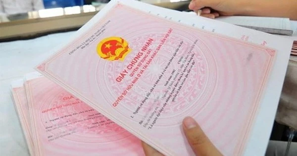 Người dân có đất chưa đủ điều kiện cấp sổ đỏ vẫn có thể đăng ký thông tin đất đai