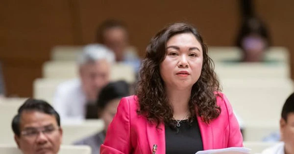 ĐBQH: Cần tiêu chí rõ ràng để đánh giá cán bộ không đạt KPI, sẽ cho thôi việc