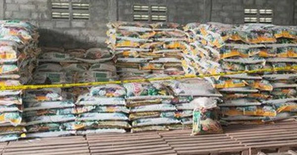 Đột kích một nhà máy, công an triệt phá đường dây sản xuất phân bón giả, bắt giữ giám đốc và tịch thu hàng trăm tấn sản phẩm