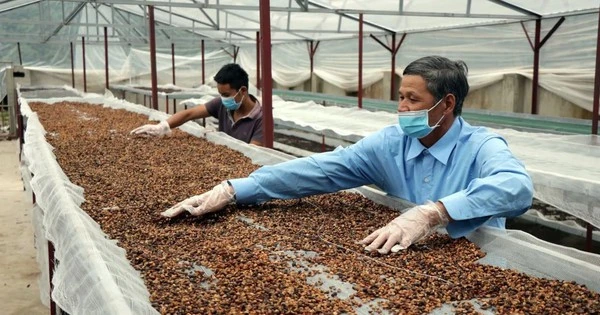 Vừa phá kỷ lục, một mặt hàng tỷ USD của VN chinh phục hơn 80 nước đang “gặp khó”: Thủ tướng chỉ đạo gì?
