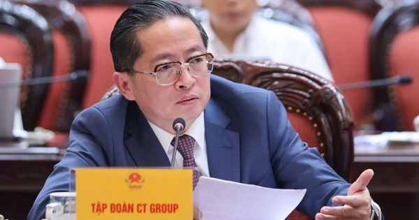 Gặp Thủ tướng, chủ tịch CT Group báo cáo về 