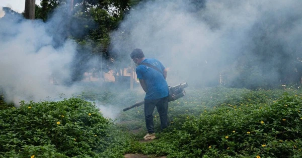 Virus Chikungunya lây lan ở Quảng Đông, loạt biện pháp phòng chống Covid-19 được kích hoạt