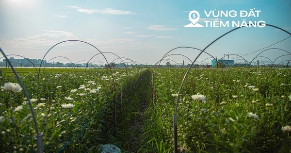 Toàn cảnh khu đất rộng hơn 200 ha tại Mê Linh được Sun Group đầu tư gần 15.000 tỷ làm khu đô thị cao cấp ở Hà Nội