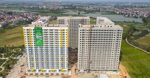 Gần 700 căn nhà ở xã hội sắp được tung ra thị trường, rẻ nhất chỉ 470 triệu đồng/căn