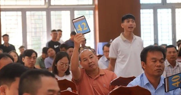 Đấu giá 20 lô 'đất vàng', giá trúng cao hơn 19 tỷ so với khởi điểm