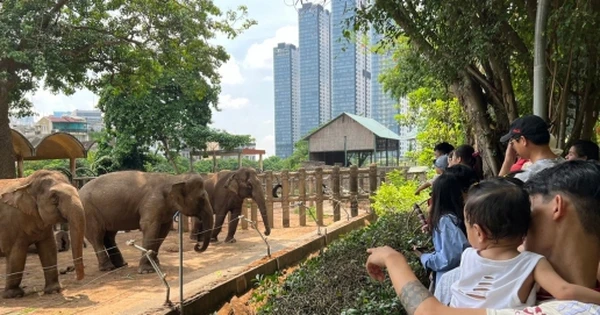 Thảo Cầm Viên Sài Gòn bỏ túi 450 triệu đồng/ngày