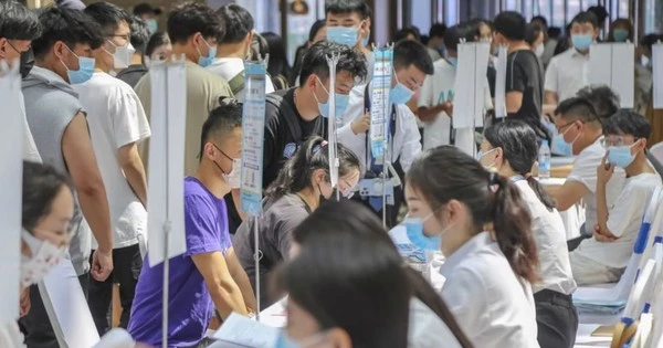 Thạc sĩ cũng thất nghiệp, 
