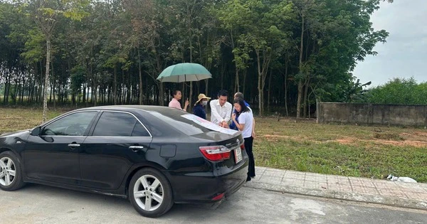 Động thái của 