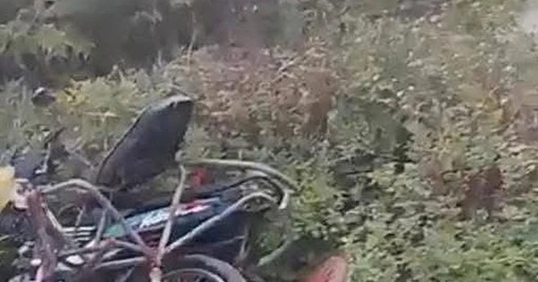 Đi chợ bán hàng lúc sáng sớm, người phụ nữ bị tàu hỏa tông tử vong