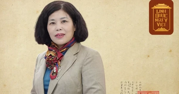 Chân dung nữ ứng viên giáo sư duy nhất ngành Dược học