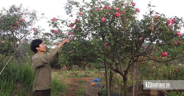 Khởi nghiệp từ những món quà tặng mẹ, chàng trai 9X mang về doanh thu “khủng”