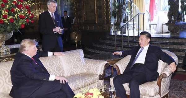 NYT hé lộ nghệ thuật 